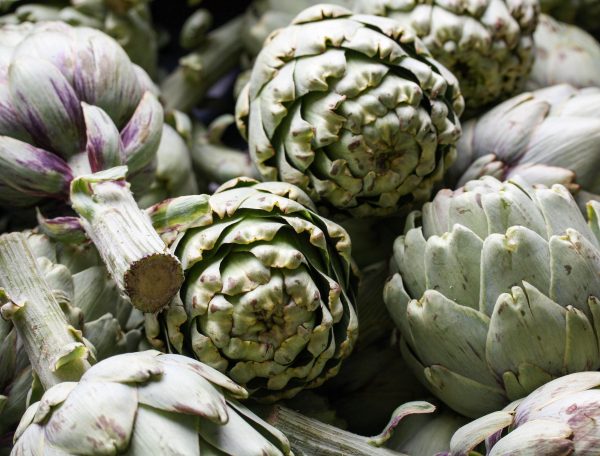 Artisjok_groot