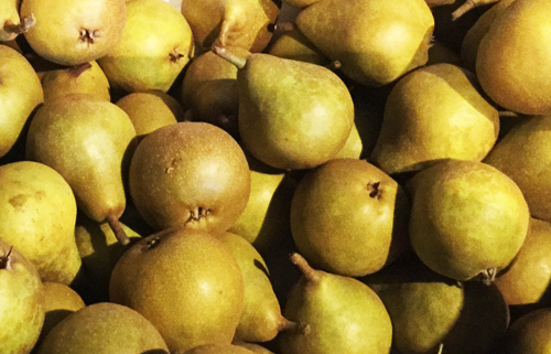 Gieser wildeman stoofpeer 1 Gieser wildeman stoofpeer